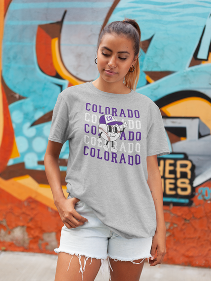 DTF - COLORADO REPEAT with RETRO BASEBALL (DARK PURPLE)